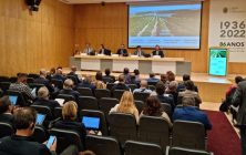 comite-mixto-1020x600