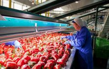 exportacion-agroalimentaria-1020x600