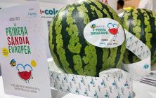 laprimera-sandia-1019x600