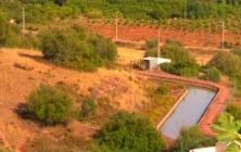 rural