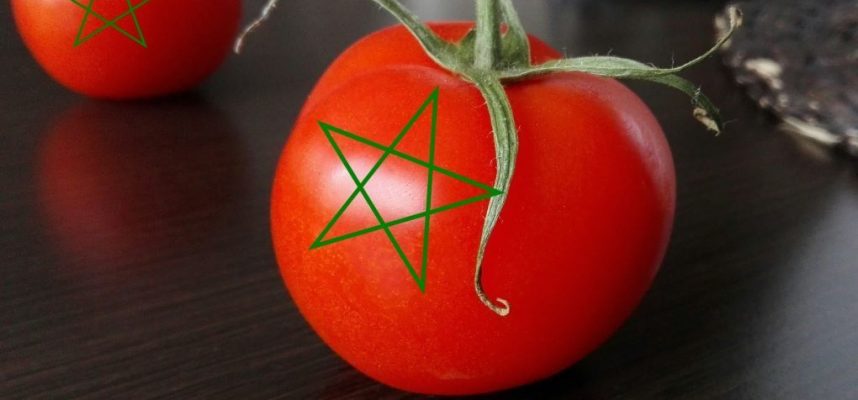 tomate-marroquí-ok-1020x600