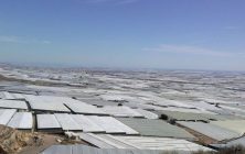 invernaderos