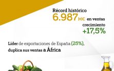 exportaciones