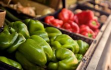pimiento
