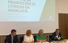 Aforo-de-citricos_Agricultura-Andalucia-1020x600