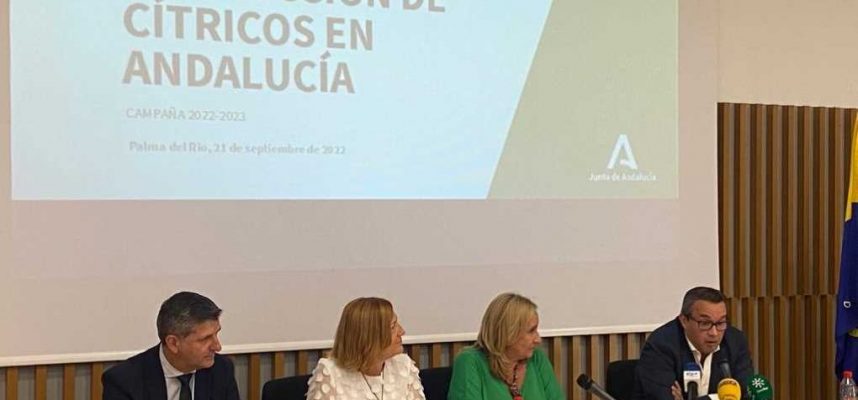 Aforo-de-citricos_Agricultura-Andalucia-1020x600
