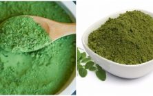 Moringa_en_polvo