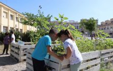 Plantas-centros-educativos-1020x600