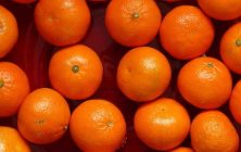 naranjas-Turquia-1020x600
