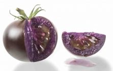 tomate-morado-ok-1020x600
