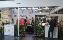Iberflora-2022