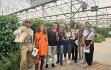 Influencers-espanoles