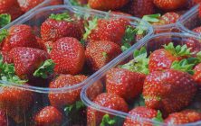 fresas-ok-1024x600