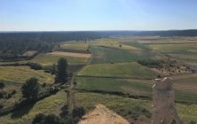 paisaje_agricola_biodiversidad