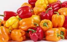 pimientos-1-1024x600