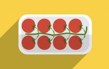 tomate-rama-ilustra