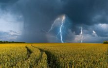 Adversidad-climatica_temporal-002