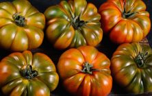 Tomate-Raf-e1671556892554