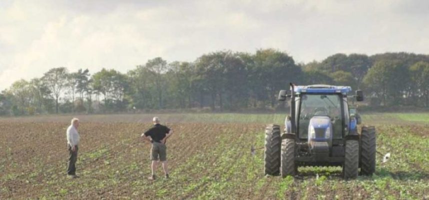 agricultores-britanicos-ok-768x484