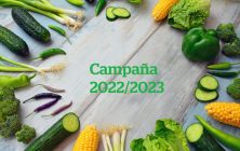 pepinos-y-berenjenas-1-768x511