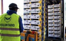 platanos-banco-de-alimentos-ok