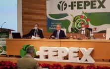 FEPEX