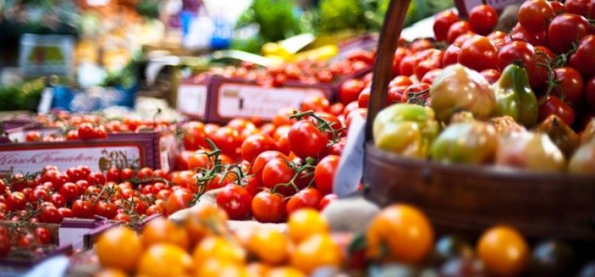export-frutas-y-verduras