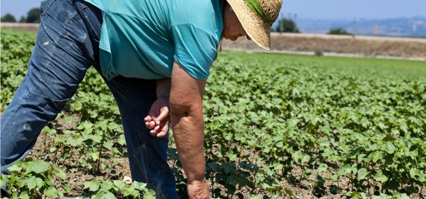 Agricultora