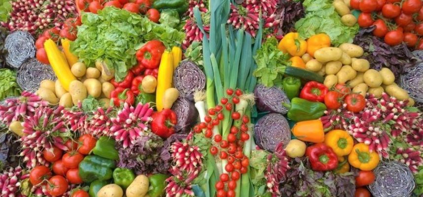 frutas-y-hortalizas-export-ok-900x506-1