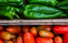 tomates-y-pimientos-1