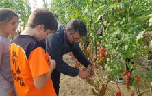 6o-Colegio-Mar-Mediterraneo-4