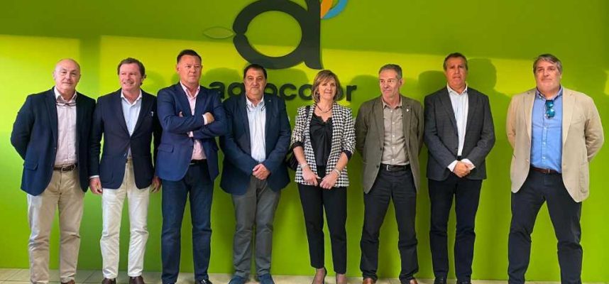 Agrocolor_Merida