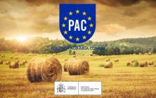 Curso-PAC