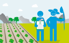 Global-GAP-certificado