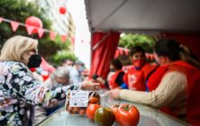 dia-tomate-2