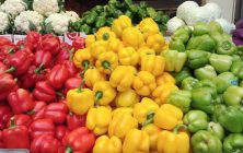 exportacion-frutas-y-hortalizas-1020x600