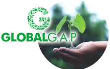 global_gap