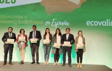 informe-anual-ecovalia-ok