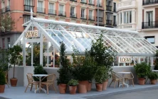 invernadero-loewe-callao.jpg