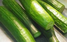 pepino-pepinos-958471-900x506