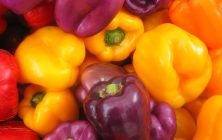 pimientos-food-defense-e1682436849808