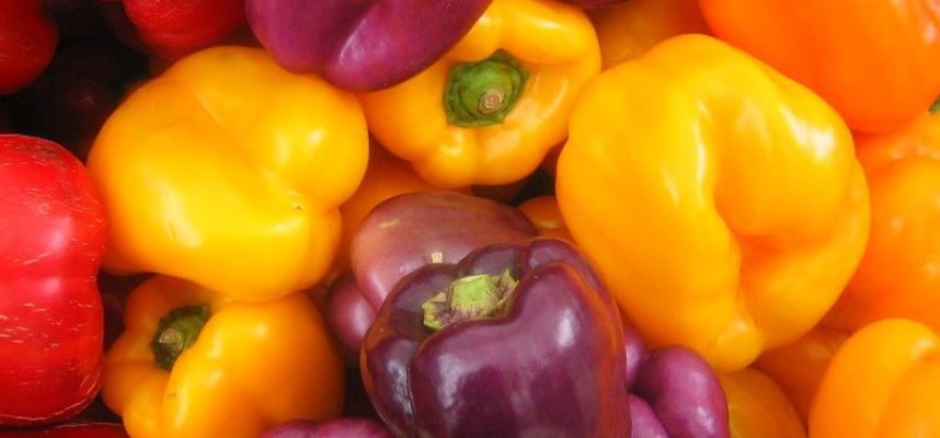 pimientos-food-defense-e1682436849808