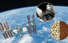 semillas del espacio