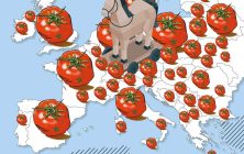 tomate marruecos UE ok