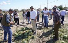 Murcia_granizo-3