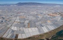 Panoramica-invernaderos