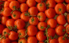 TOMATE-MARRUECOS