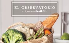 aldi-portada