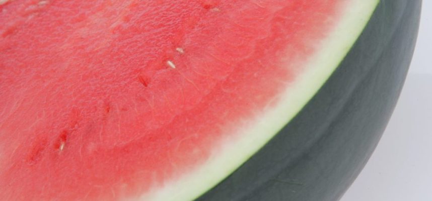 Sandia-Style-Nunhems-4-1170x600