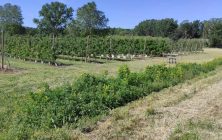 linderos-agro
